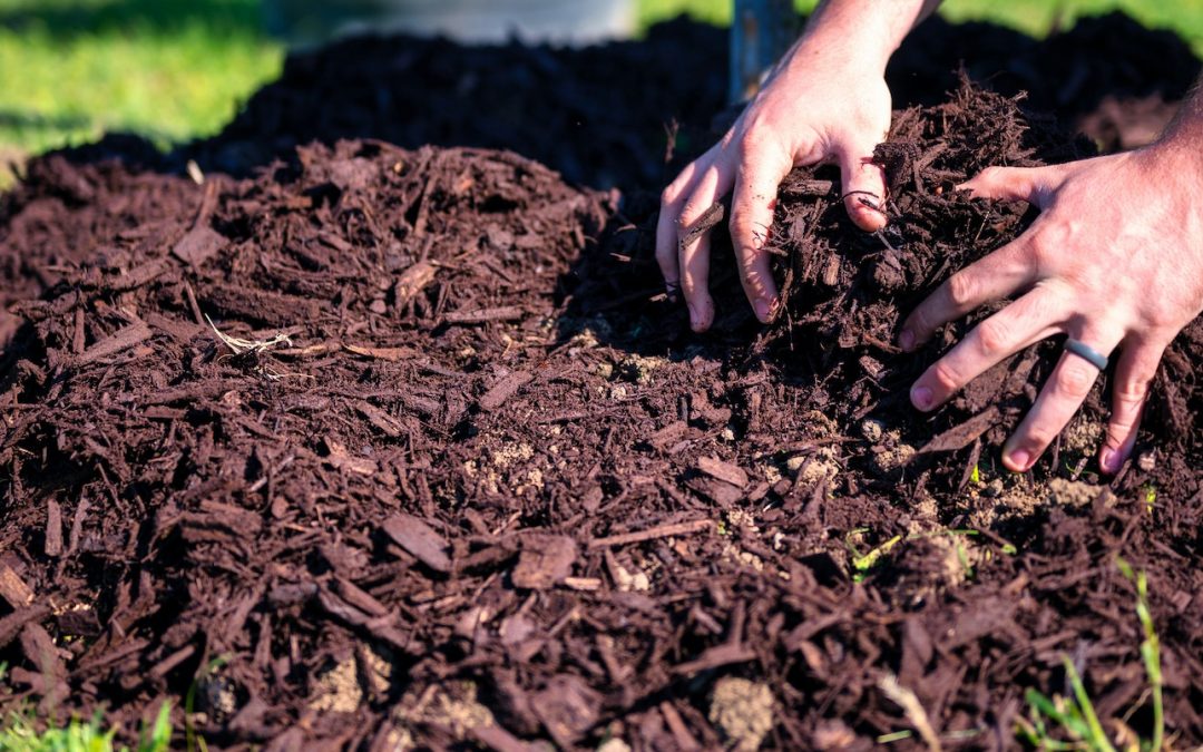 turf brisbane, mulch, garden mulch, mulch delivery, mulch brisbane