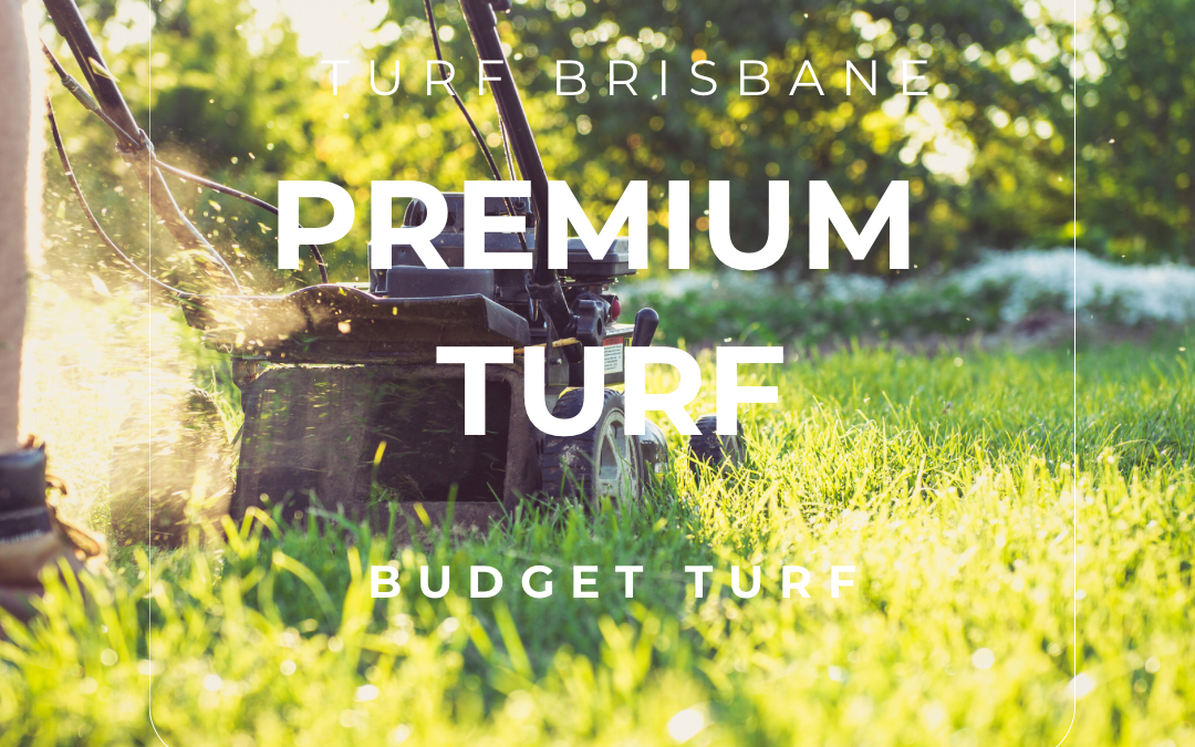 turf brisbane, brisbane turf