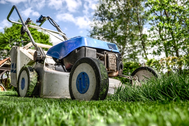 turf brisbane, lawn turf brisbane, grass turf brisbane, turf southern brisbane , turf northern brisbane, turf western brisbane